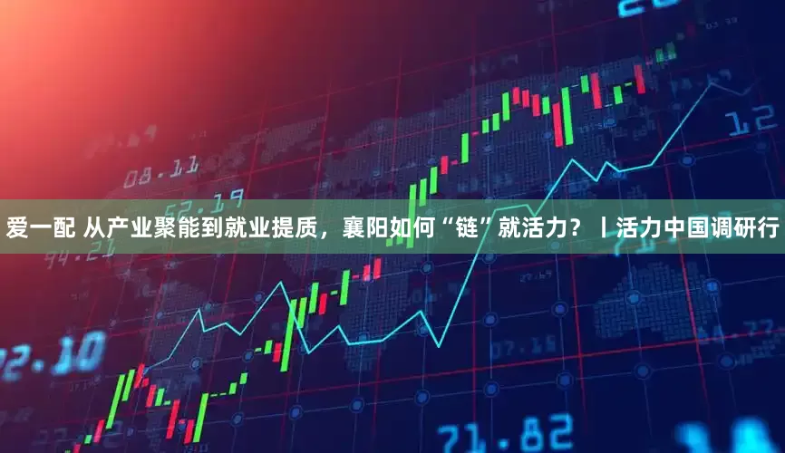 爱一配 从产业聚能到就业提质，襄阳如何“链”就活力？丨活力中国调研行
